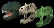 three images of dinosaur head